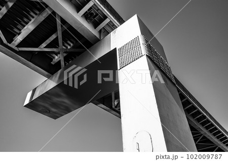 見上げる首都高速5号池袋線早稲田出口 反射する川面の煌めき 2023.04 モノクロ 見上げる首都高速5号池袋線早稲田出口 反射する川面の煌めき 2023.04 モノクロ 102009787