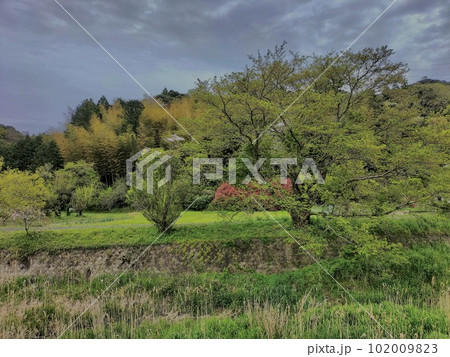 春の川べりの農村風景 102009823