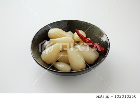 らっきょうの甘酢漬け 102010250