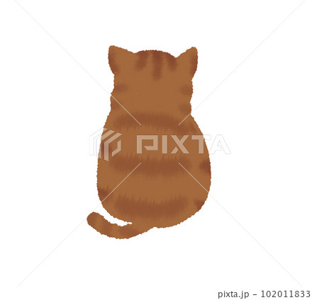 orange, feline, cat, pet, animal, domestic, cute 102011833