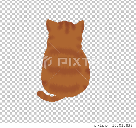 orange, feline, cat, pet, animal, domestic, cute 102011833