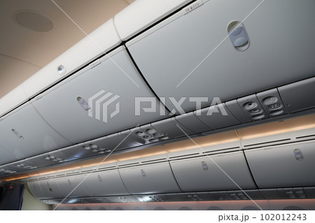 787 飛行機 航空機 102012243