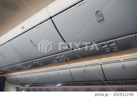 787 飛行機 航空機 102012246