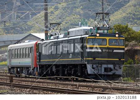 東海道線を走るEF81113の牽くキハ120配給列車 102013188