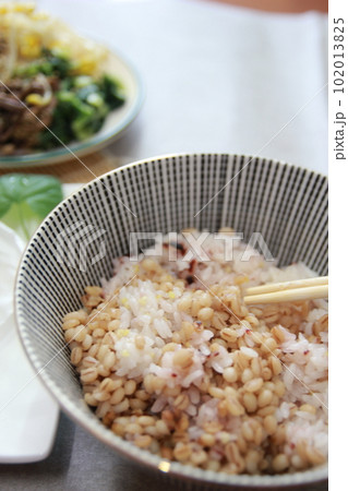 Korean traditional healthy food and wellness meal Korean traditional healthy food and wellness meal 102013825