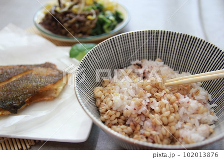 Korean traditional healthy food and wellness meal 102013876