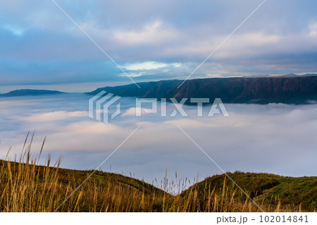 大観峰の雲海と草紅葉 朝風景 【熊本県阿蘇市】 大観峰の雲海と草紅葉 朝風景 【熊本県阿蘇市】 102014841