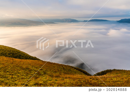 大観峰の雲海と草紅葉　朝風景　【熊本県阿蘇市】 102014888