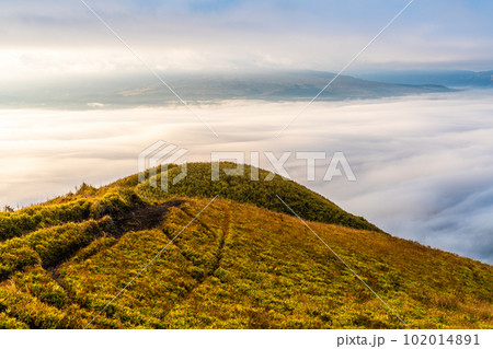 大観峰の雲海と草紅葉　朝風景　【熊本県阿蘇市】 102014891