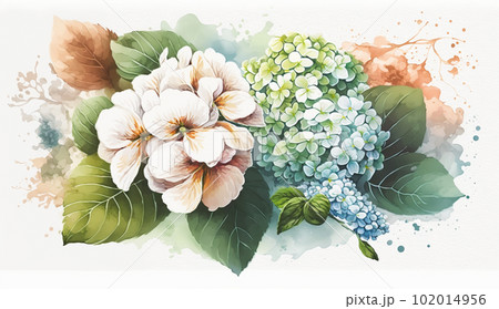紫陽花（あじさい）の水彩画のイラスト素材 [102014956] - PIXTA