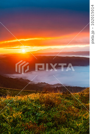 大観峰の雲海と草紅葉　日の出　【熊本県阿蘇市】 102015014