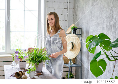 Woman transplanting a fern, a houseplant. Concept of home garden. Flower and garden shop. Woman transplanting a fern, a houseplant. Concept of home garden. Flower and garden shop. 102015557