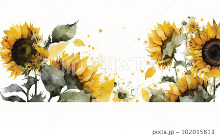 向日葵（ひまわり）の花の水彩画