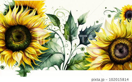 向日葵（ひまわり）の花の水彩画