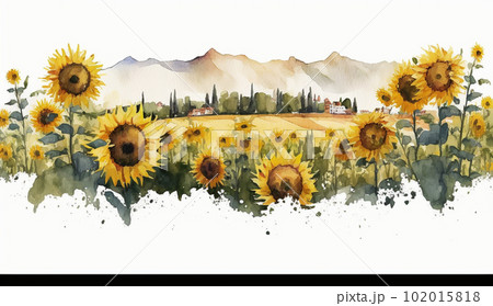 向日葵（ひまわり）の花の水彩画