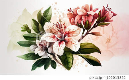 つつじの花の水彩画