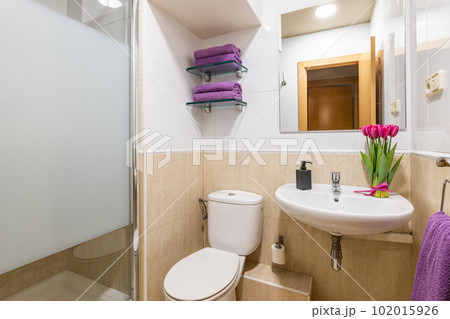 Cozy bathroom with toilet sink and mirror with towels and flowers in a hotel room while traveling. The concept of a five-star hotel. Small but comfortable bathroom 102015926
