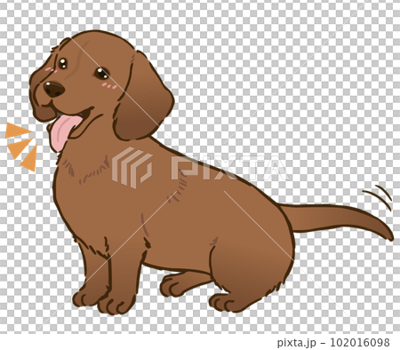 Happy Dachshund (smooth coat, red) Happy Dachshund (smooth coat, red) 102016098