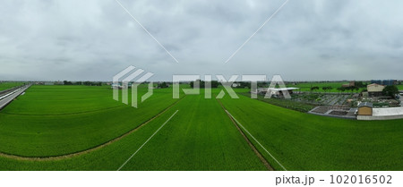 たんぼ 田んぼ 田圃 102016502