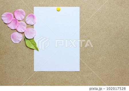 壁に画鋲でとめた白い用紙 102017526