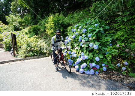 紫陽花とロードバイクに乗る男性 102017538