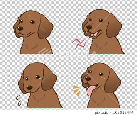 臘腸犬情緒套裝(光滑的外套,紅色) 臘腸犬情緒套裝(光滑的外套,紅色) 102018474