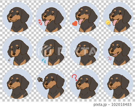 臘腸犬面部表情圖標集（光滑的外套，黑色的舌頭） 102018483