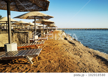 beach in the egypt beach in the egypt 102018580