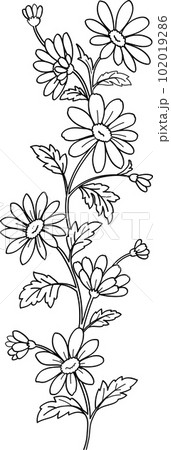 マーガレット 102019286