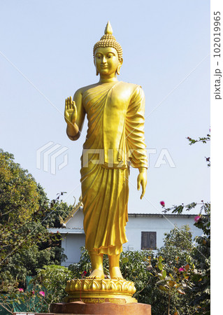 Beautiful Statue of Lord Budhha, Bodh Gaya, Bihar.. 102019965