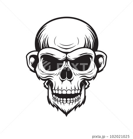 monkey with human skull, vector concept digital art ,hand drawn illustration 102021025