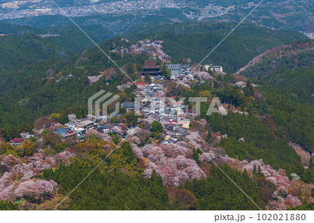 絶景、満開の桜に彩られる吉野山全景、下千本、中千本、一目千本 絶景、満開の桜に彩られる吉野山全景、下千本、中千本、一目千本 102021880