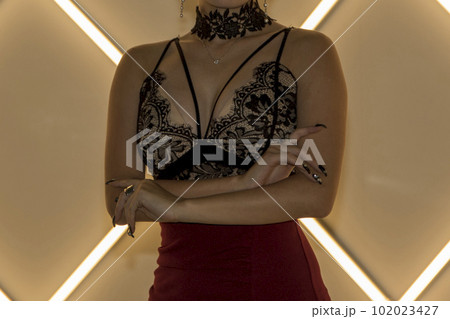 下着を着た女性が胸の前で腕を組む様子 下着を着た女性が胸の前で腕を組む様子 102023427