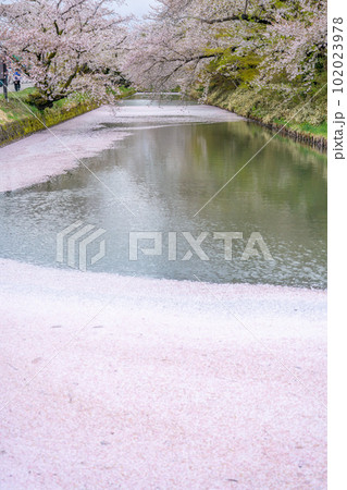 東北の春絶景 弘前城外堀の花筏 東北の春絶景 弘前城外堀の花筏 102023978
