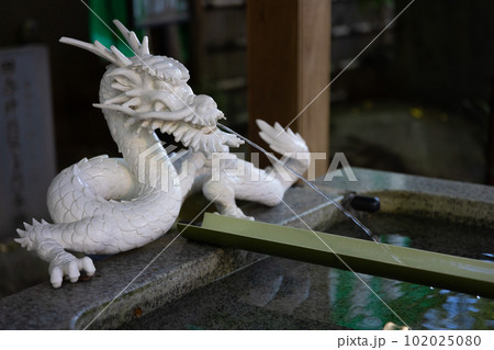 田無神社の手水舎に設置されている龍の彫刻の写真素材 [102025080] - PIXTA