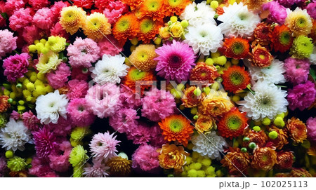 Handmade Chrysanthemum Flower Wall Background. created with Generative AI 102025113