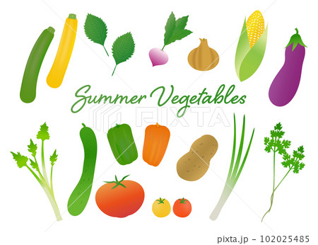 グラデーションカラーがきれいな夏野菜のイラストセット グラデーションカラーがきれいな夏野菜のイラストセット 102025485