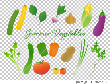 グラデーションカラーがきれいな夏野菜のイラストセット グラデーションカラーがきれいな夏野菜のイラストセット 102025485