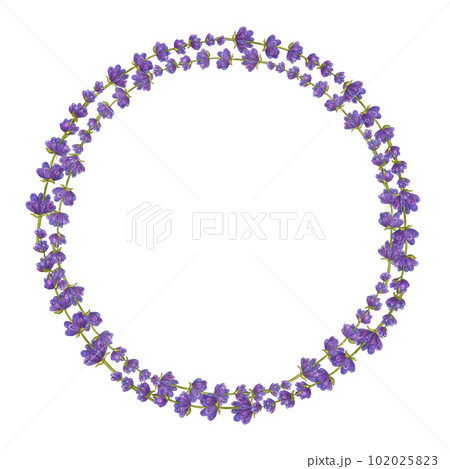 Frame round bunch lavender flowers. Floral aquarelle bouquet. Eco natural herbs. Watercolor illustration isolated on white background. For creating invitations, greeting and wedding cards 102025823