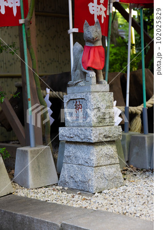 田無神社の稲荷神【日本イメージ】 102025829
