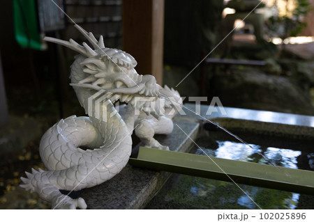 田無神社の手水舎に設置されている龍の彫刻 田無神社の手水舎に設置されている龍の彫刻 102025896