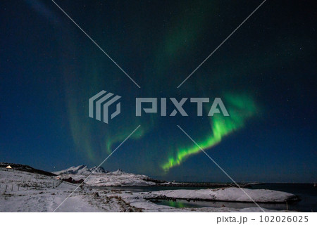 Aurora Borealis in Arctic Norway 102026025