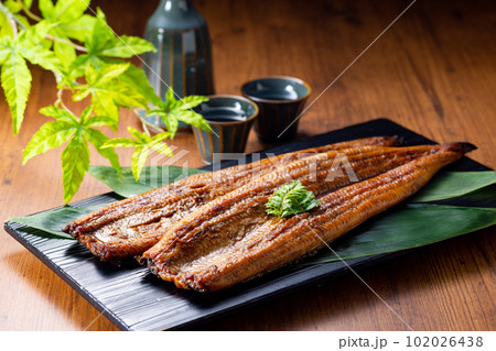 鰻　2尾 102026438