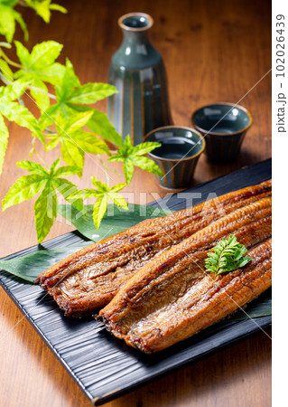 鰻　2尾 102026439