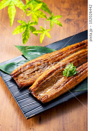 鰻 2尾 鰻 2尾 102026442