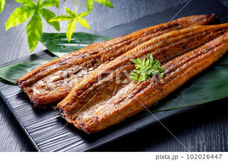 うなぎの蒲焼 102026447