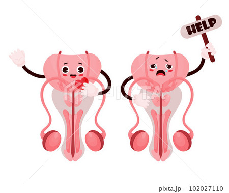 Cute cartoon character male reproductive organ with different emotions. Happy and sad and asks for help. Vector illustration. Concept health and disease, pain. Isolated on white background. 102027110