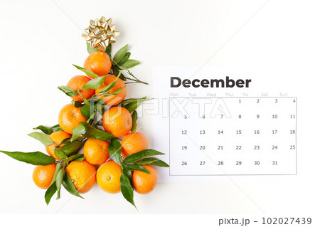 winter flat lay with christmas tree shape tangerines 102027439