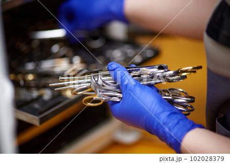 Female hands, veterinarian picking up surgery and examining tools, instruments from steriliser at vet clinic. Disinfection 102028379