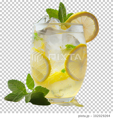 delicious lemonade glass on white background. 102029264